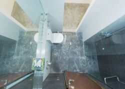 Vibes@Upper Serangoon (D19), Apartment #593111091